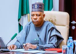 His Excellency Senator Kashim Shettima