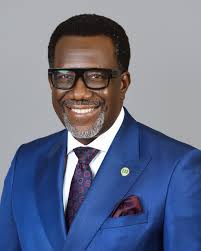 Mr. Olusegun Omosehin